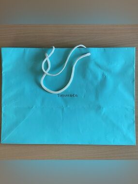 Tiffany & Co. Robin's Egg Blue Shopping Bag with White Rope Handles